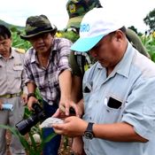 มหัศจรรย์แผ่นดินเพชรบูรณ์ พบซากฟอสซิลพืช-สัตว์ อายุร่วม 300 ปี