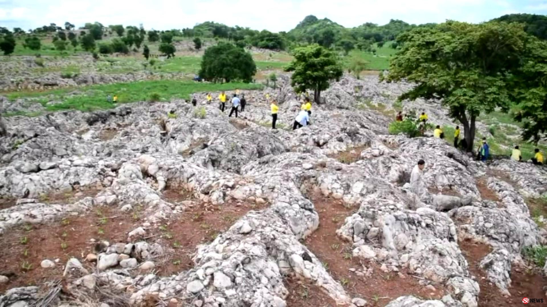 มหัศจรรย์แผ่นดินเพชรบูรณ์ พบซากฟอสซิลพืช-สัตว์ อายุร่วม 300 ปี