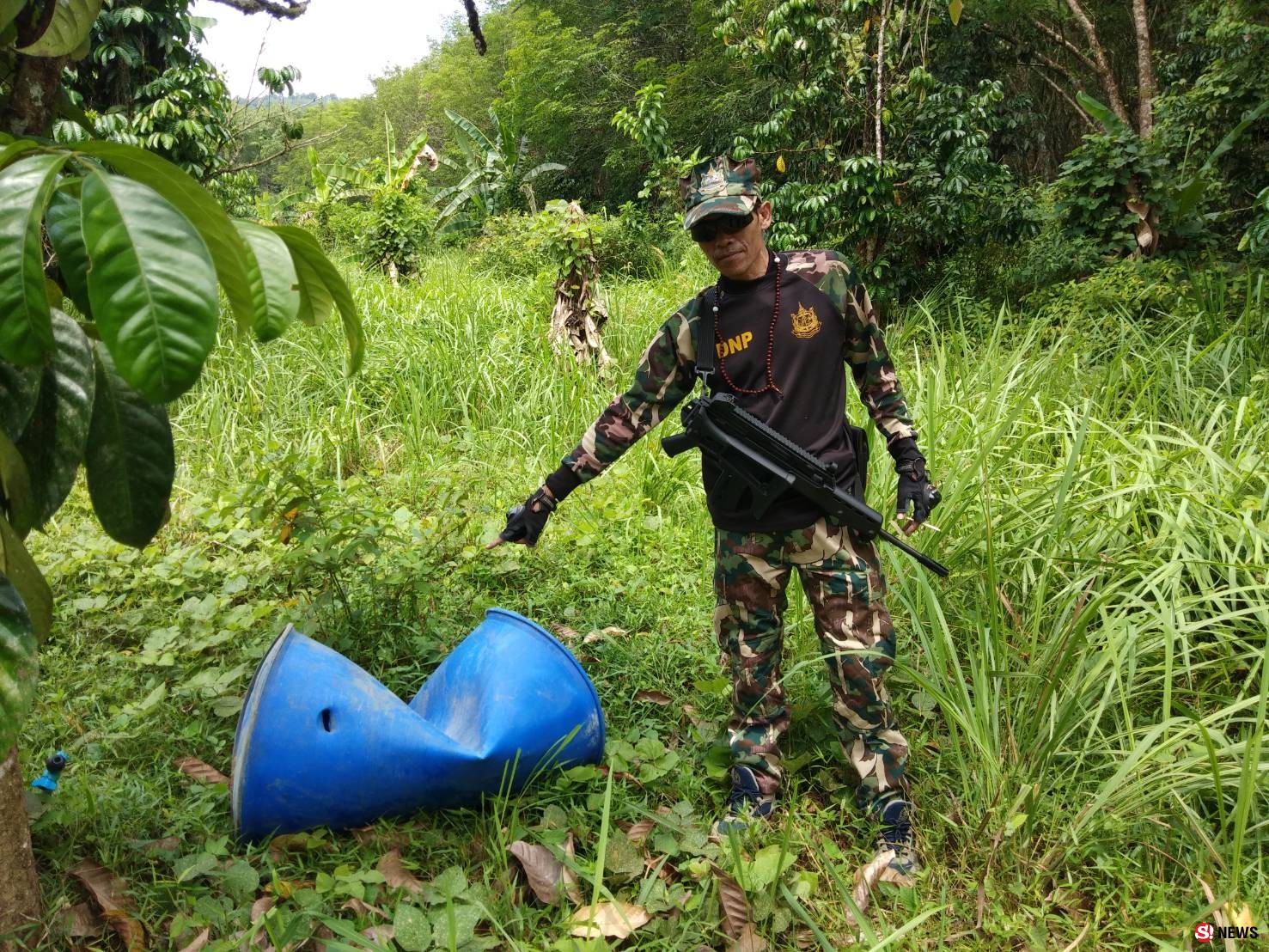 กลับคืนบ้าน ชุดเฝ้าระวังเร่งผลักดันช้างป่าคืนถิ่น หลังออกหากินทำลายพืชผลเกษตรชาวบ้าน