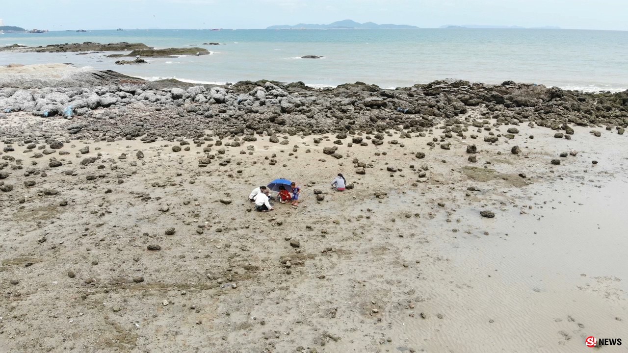  นักท่องเที่ยวแห่เล่นน้ำ-ชาวประมงออกหาหอย ช่วงน้ำทะเลลงต่ำ