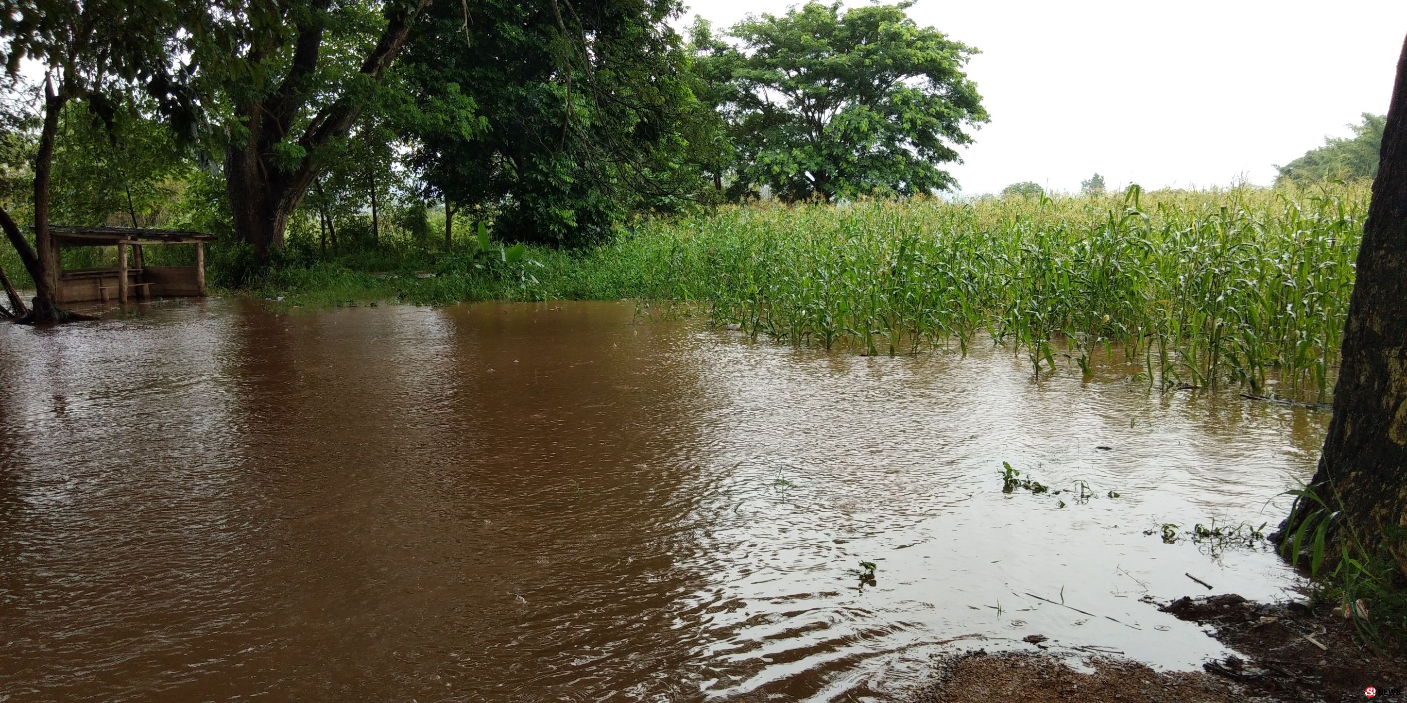 จ.ตาก - ฝนตกหนักชายแดนไทย-พม่า น้ำท่วมหนัก เกษตรกรปาดน้ำตาพร้อมหยาดฝน