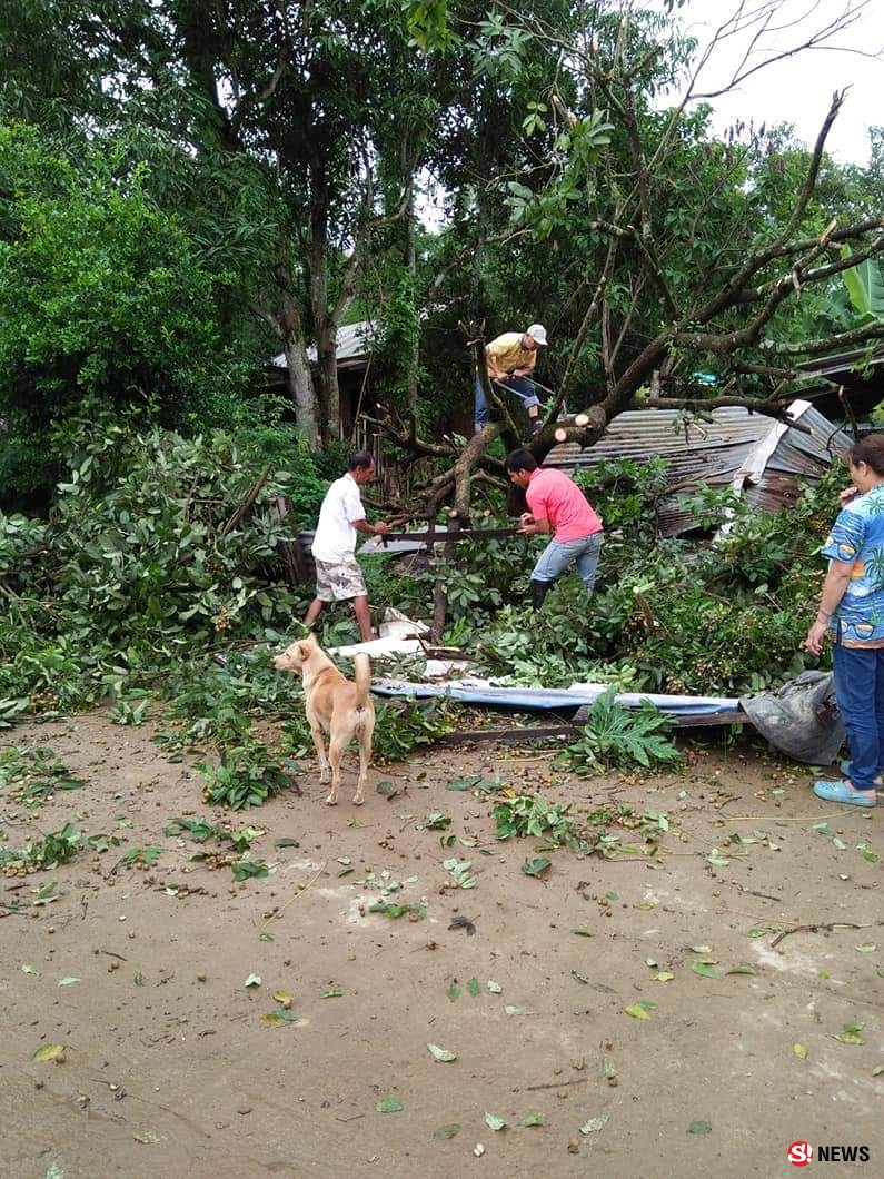 ญาตินักข่าวหวิดสังเวยให้ฤทธิ์ “เซินติญ”  ฝนถล่ม-ลมกระโชกทำต้นไม้ล้มทับบ้านเฉียดตาย   