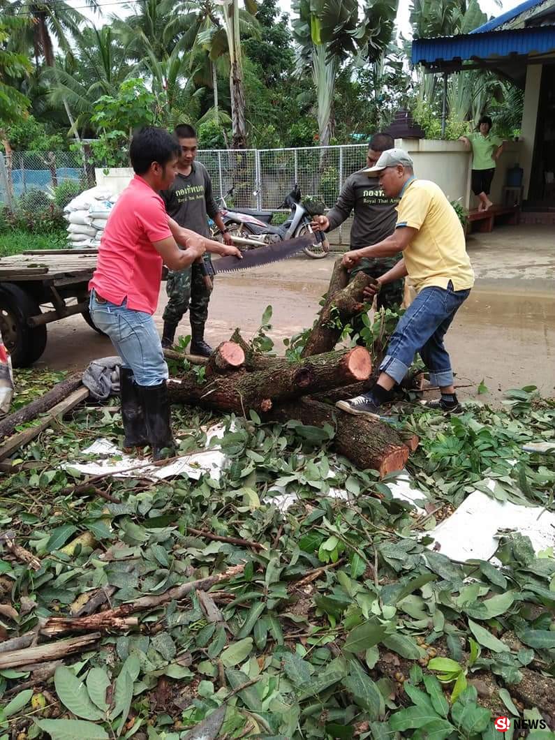 ญาตินักข่าวหวิดสังเวยให้ฤทธิ์ “เซินติญ”  ฝนถล่ม-ลมกระโชกทำต้นไม้ล้มทับบ้านเฉียดตาย   