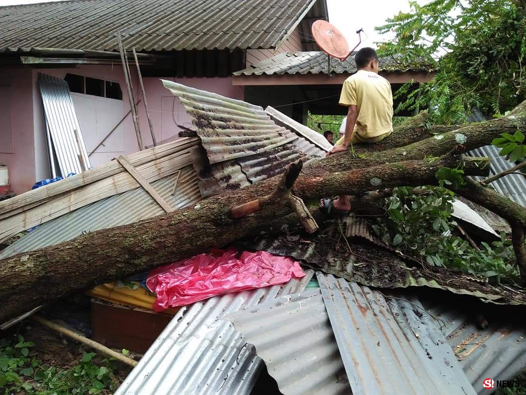 ญาตินักข่าวหวิดสังเวยให้ฤทธิ์ “เซินติญ”  ฝนถล่ม-ลมกระโชกทำต้นไม้ล้มทับบ้านเฉียดตาย   