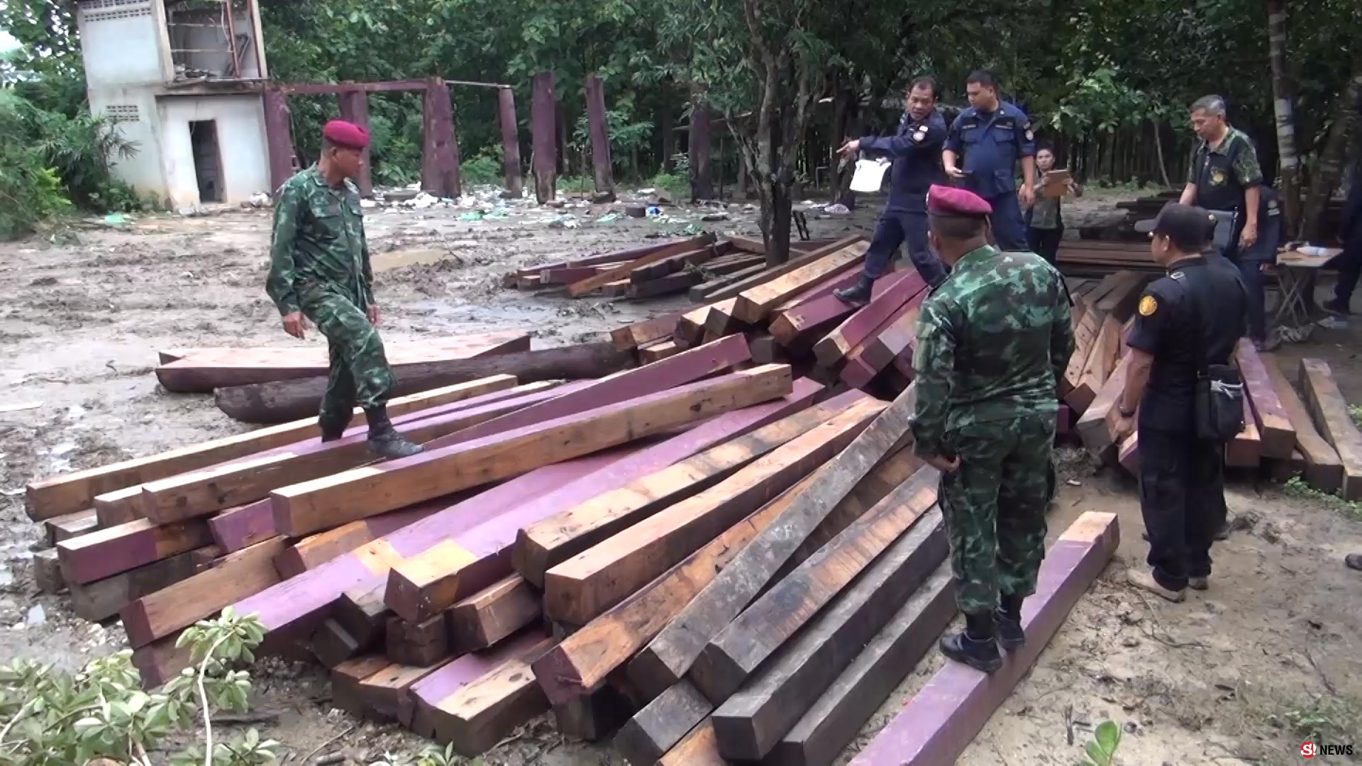 ชุดพยัคฆ์ไพรตะครุบขบวนการซุก “ไม้กระยาเลย” ยึดไม้แปรรูปร่วมพันแผ่น