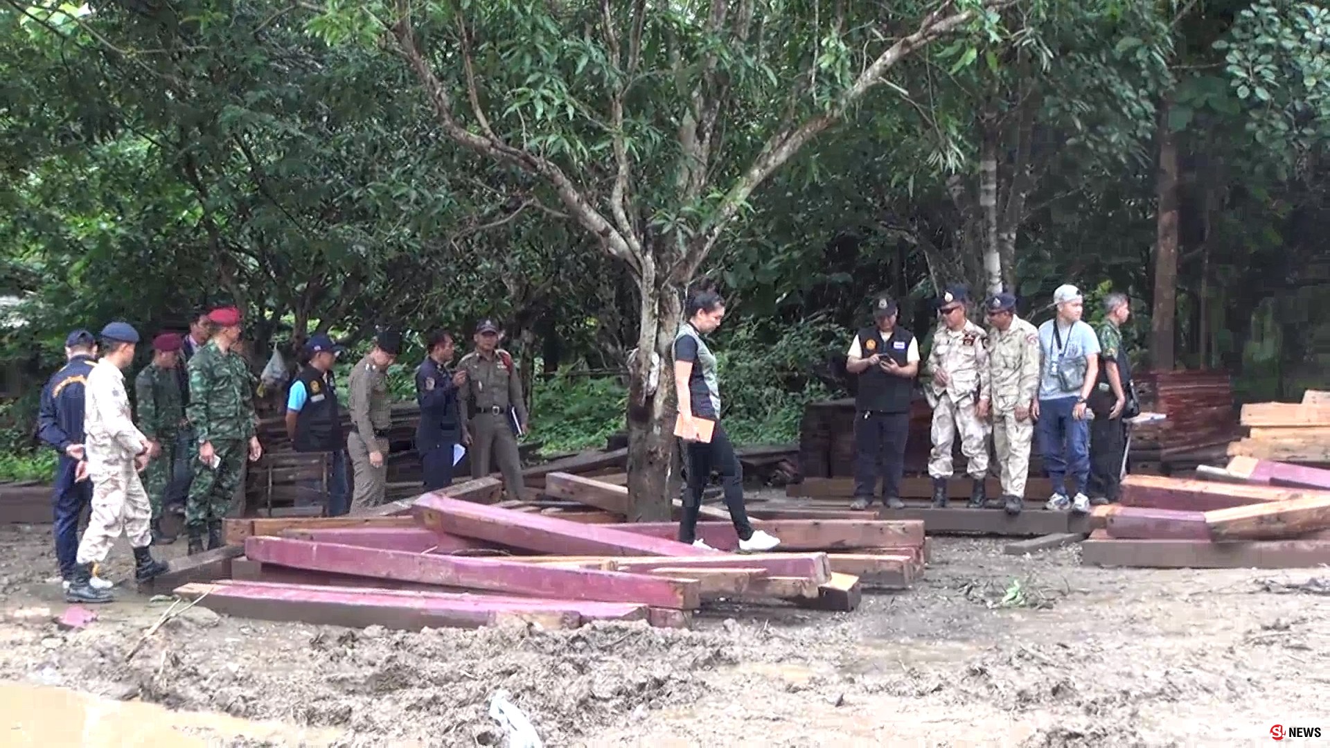 ชุดพยัคฆ์ไพรตะครุบขบวนการซุก “ไม้กระยาเลย” ยึดไม้แปรรูปร่วมพันแผ่น