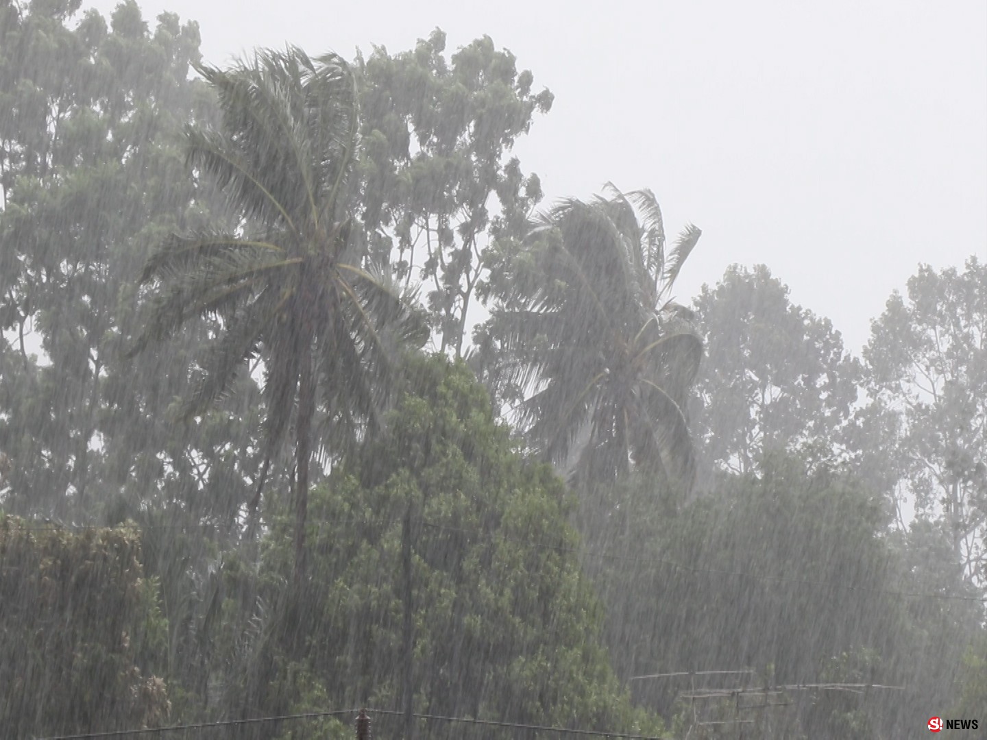 ห่าฝนถล่มไม่ลืมหูลืมตา-ตัวเมืองตรังอย่างกับป่าช้า ตลาดนัดใหญ่ร้านรวงปิดเงียบ