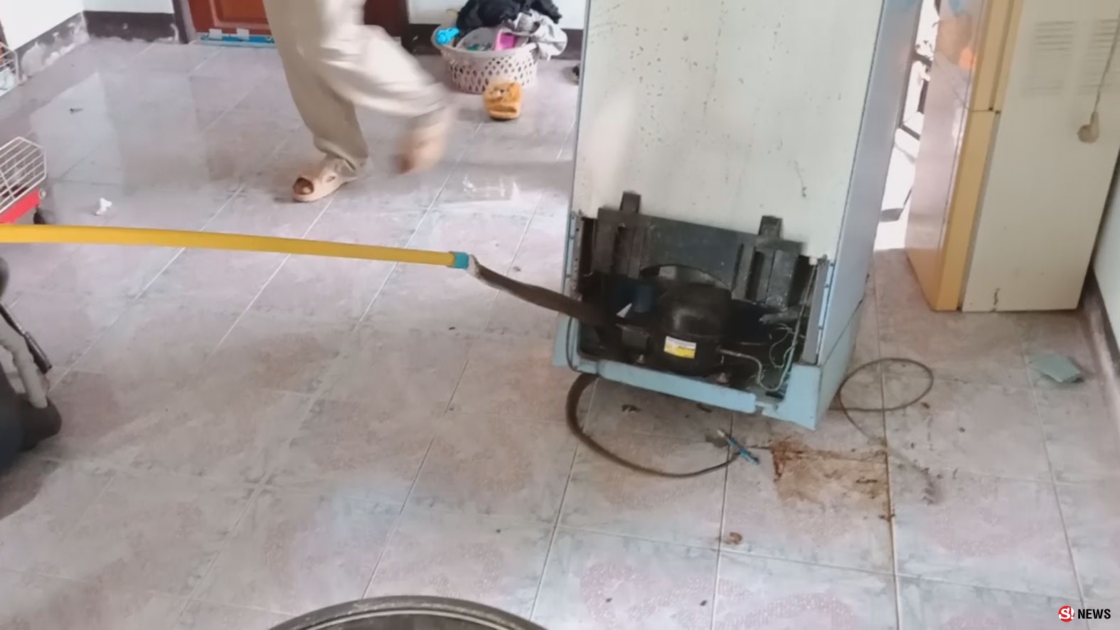 ระดับน้ำโขงวิกฤต-คนหนีน้ำ งูเห่าก็หนีแอบซุกใต้ตู้เย็น แม่เฒ่าผวาร้องเรียกกู้ภัย