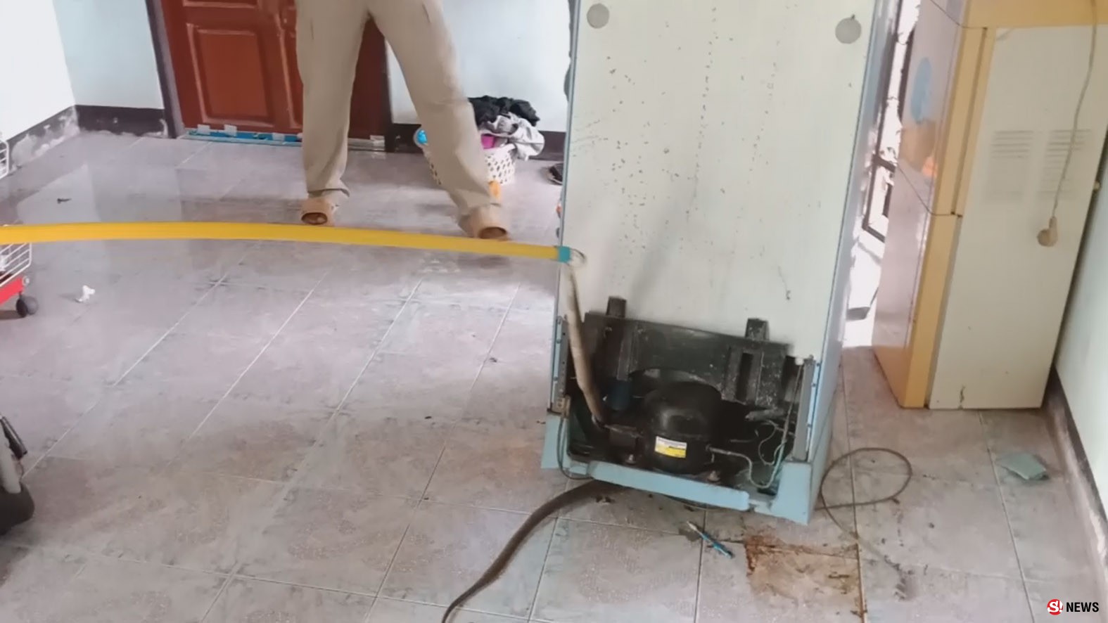 ระดับน้ำโขงวิกฤต-คนหนีน้ำ งูเห่าก็หนีแอบซุกใต้ตู้เย็น แม่เฒ่าผวาร้องเรียกกู้ภัย