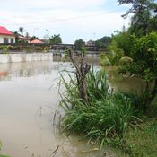 มวลน้ำระลอกแรก-วิกฤตน้ำโขงสูงท่วมทะลักแล้ว 20 บ้านราษฎรริมปาก “ลำห้วยมุก”