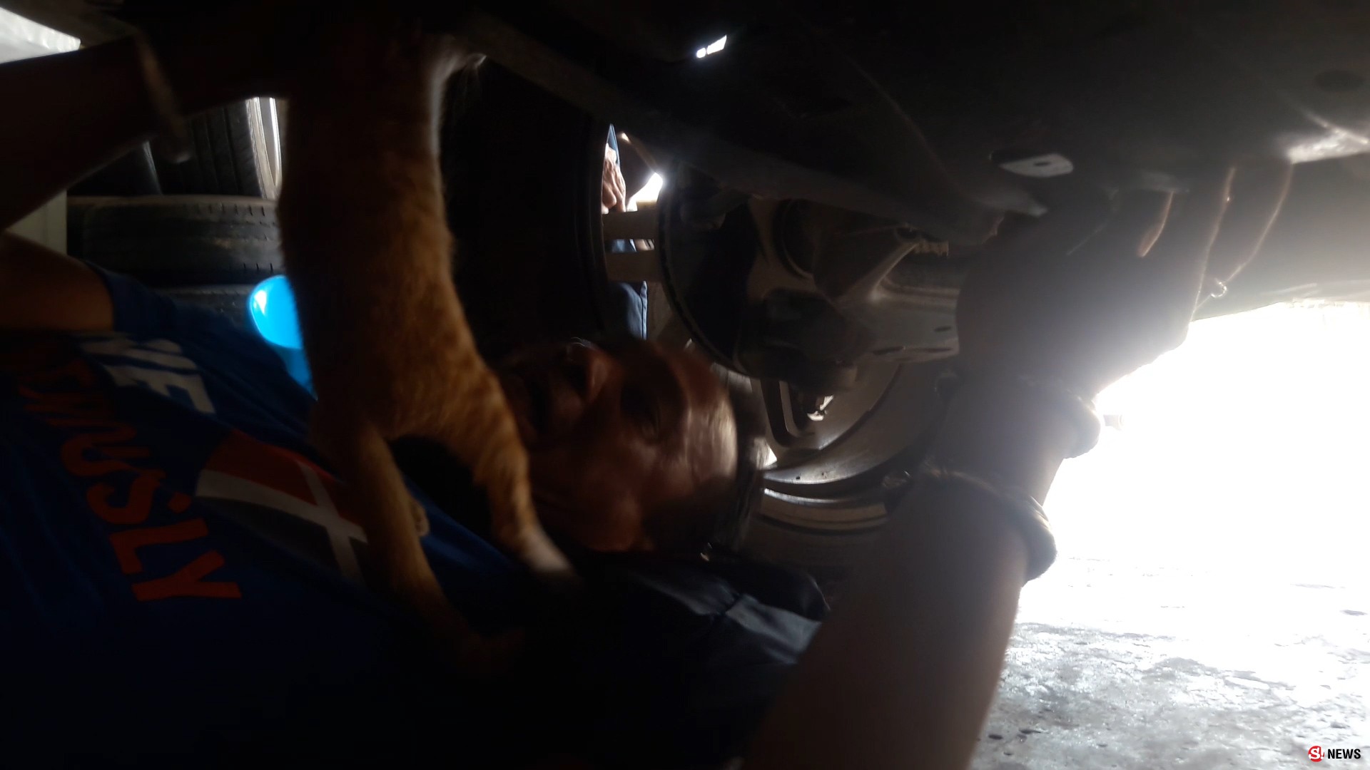 รับเลี้ยง “เจ้านำโชค” หนุ่มประกาศหาผู้อุปการะลูกแมวแอบซุกใต้เครื่องยนต์บาดเจ็บหนัก