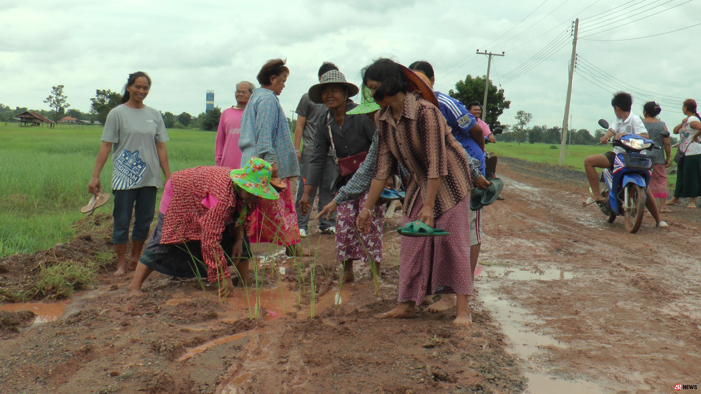 ดำนา 4.0 กลางถนนชำรุดเป็นหลุมบ่อ-ทำชาวบ้านสัญจรลำบาก 30 ปี หน่วยงานอ้างงบหมด