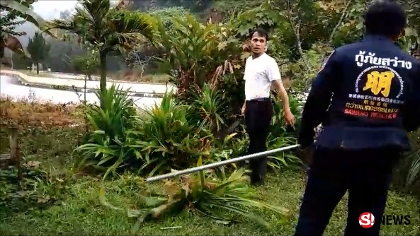 จับ “งูหลามปากเป็ด” ซุกใต้ต้นใบเตย ไม่มีพิษ-เป็นสัตว์ป่าคุ้มครองฯ