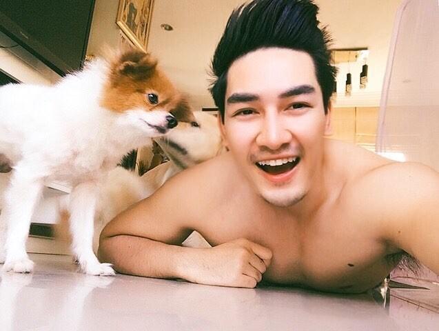 สิงโต เดอะสตาร์