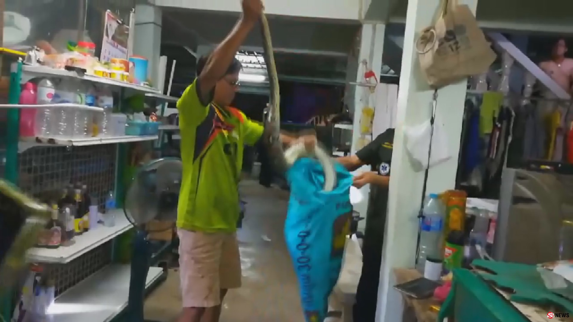 ไอ้เหลือมตัวเขื่องโผล่-เลื้อยไต่ต้นมะม่วงหวังเขมือบฝูงนก กู้ภัยสอยจับปล่อยป่าธรรมชาติ