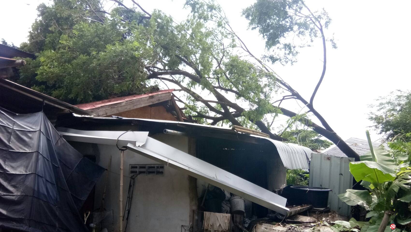 พายุลมแรงพัดบ้านเรือนชาวบ้าน 2 หมู่บ้าน อ.นาตาลเสียหายต้นไม้โค่นทับบ้าน ทับสายไฟฟ้า