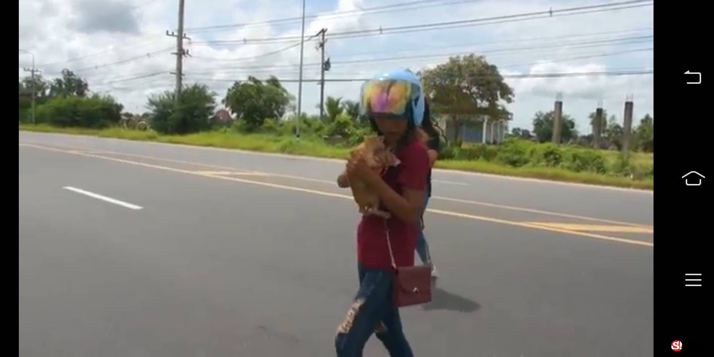 2 สาวงามโคราชช่วยลูกแมว 2 ตัวหมอบกลัวหวังข้ามถนน-รอดชีวิตหวิดถูกรถทับ
