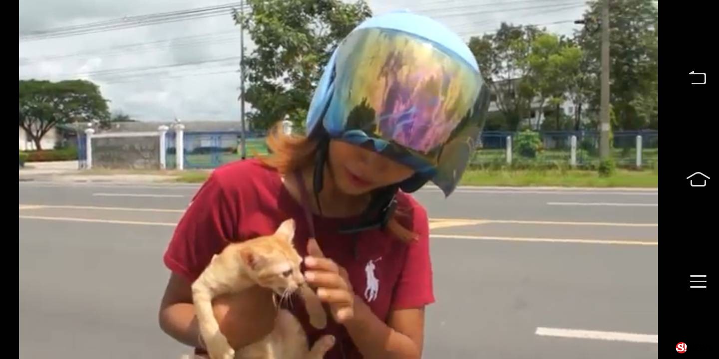 2 สาวงามโคราชช่วยลูกแมว 2 ตัวหมอบกลัวหวังข้ามถนน-รอดชีวิตหวิดถูกรถทับ