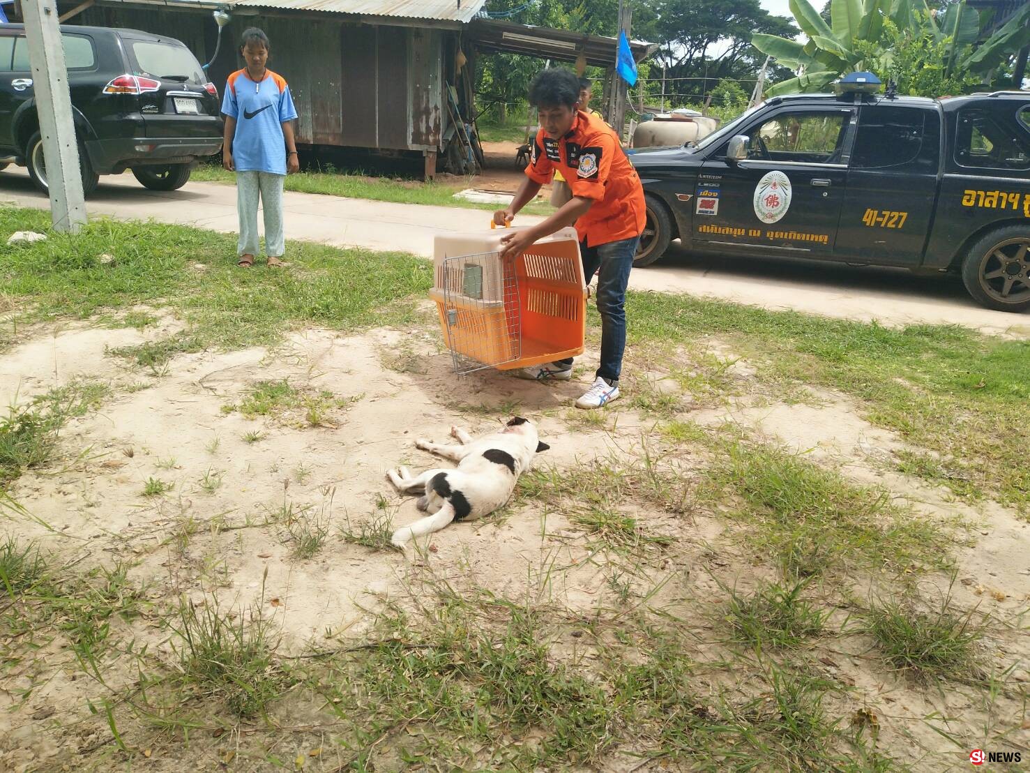 ลูกดอกปักคอหมาสาหัส-“กู้ภัยฮุก 31” เร่งยื้อชีวิตคาด มือเหี้ยมหวังปลิดชีพกันกัดไก่ชน