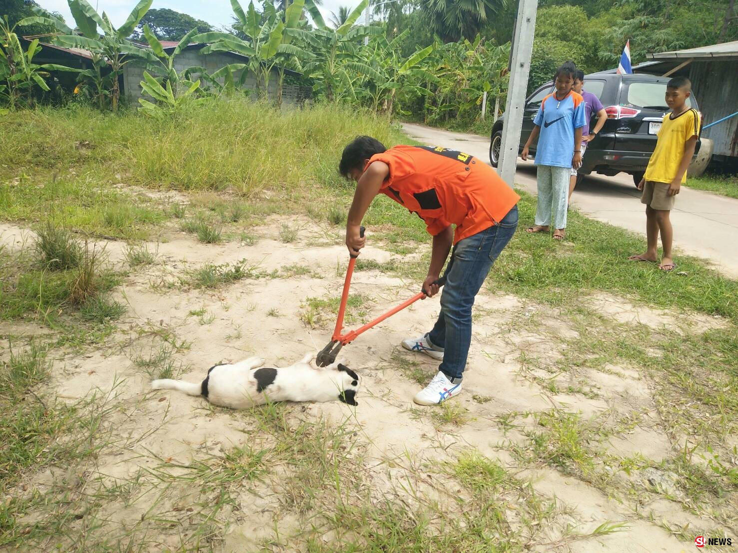 ลูกดอกปักคอหมาสาหัส-“กู้ภัยฮุก 31” เร่งยื้อชีวิตคาด มือเหี้ยมหวังปลิดชีพกันกัดไก่ชน