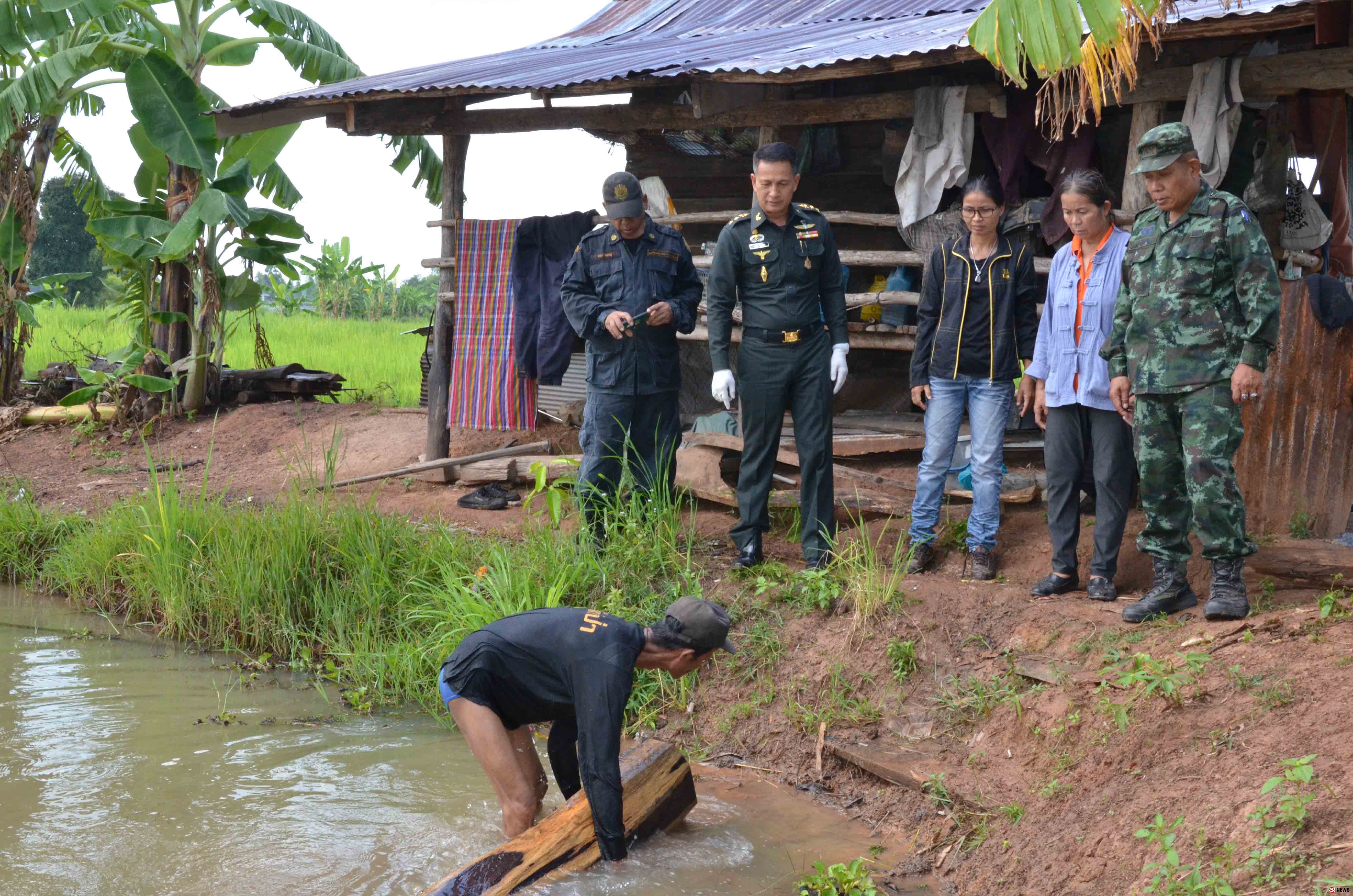 กาฬสินธุ์พบแก๊งมอดไม้อาศัยกระท่อมชาวบ้านซุกไม้พะยูงเตรียมส่งนายทุนต่างชาติ