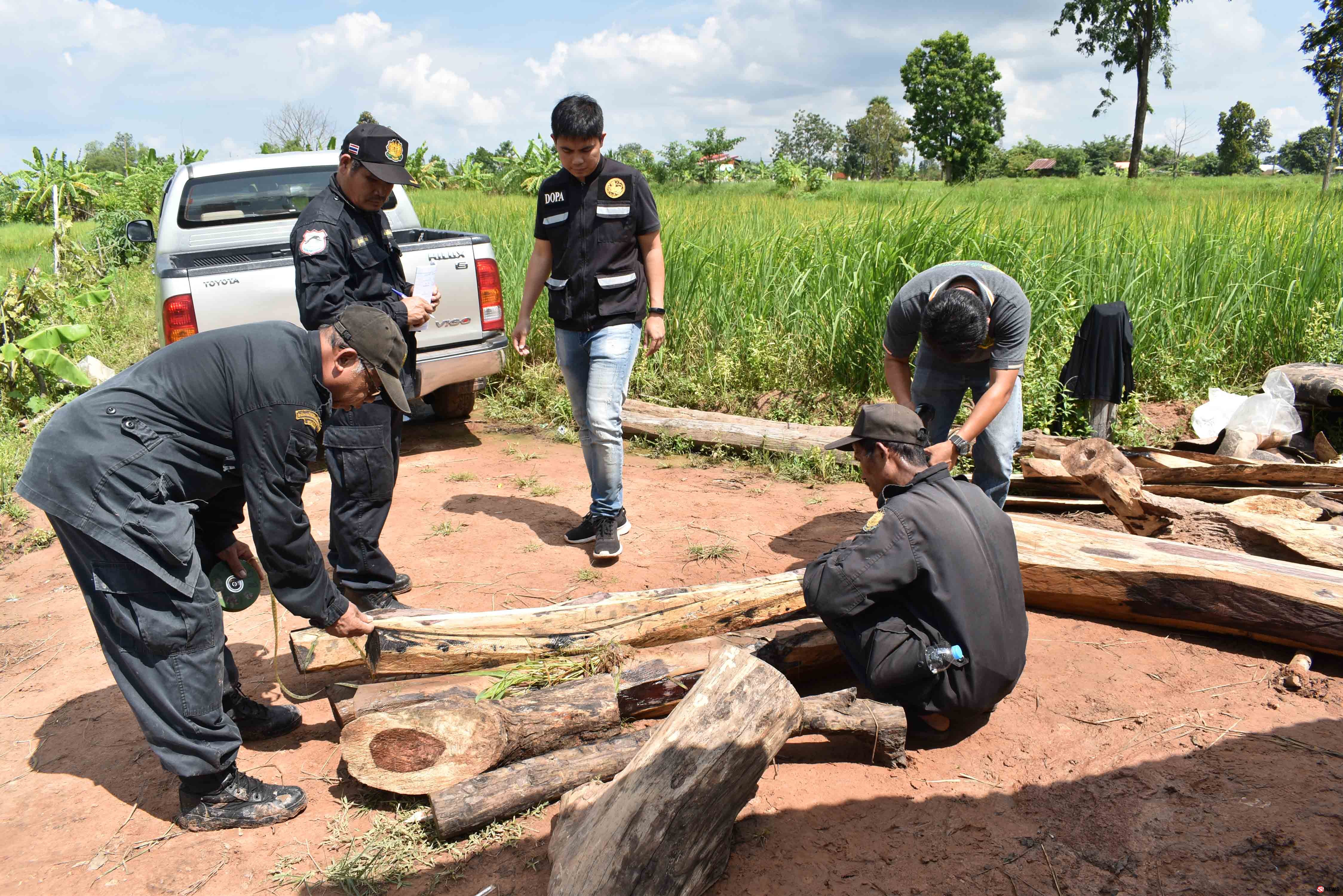 กาฬสินธุ์พบแก๊งมอดไม้อาศัยกระท่อมชาวบ้านซุกไม้พะยูงเตรียมส่งนายทุนต่างชาติ