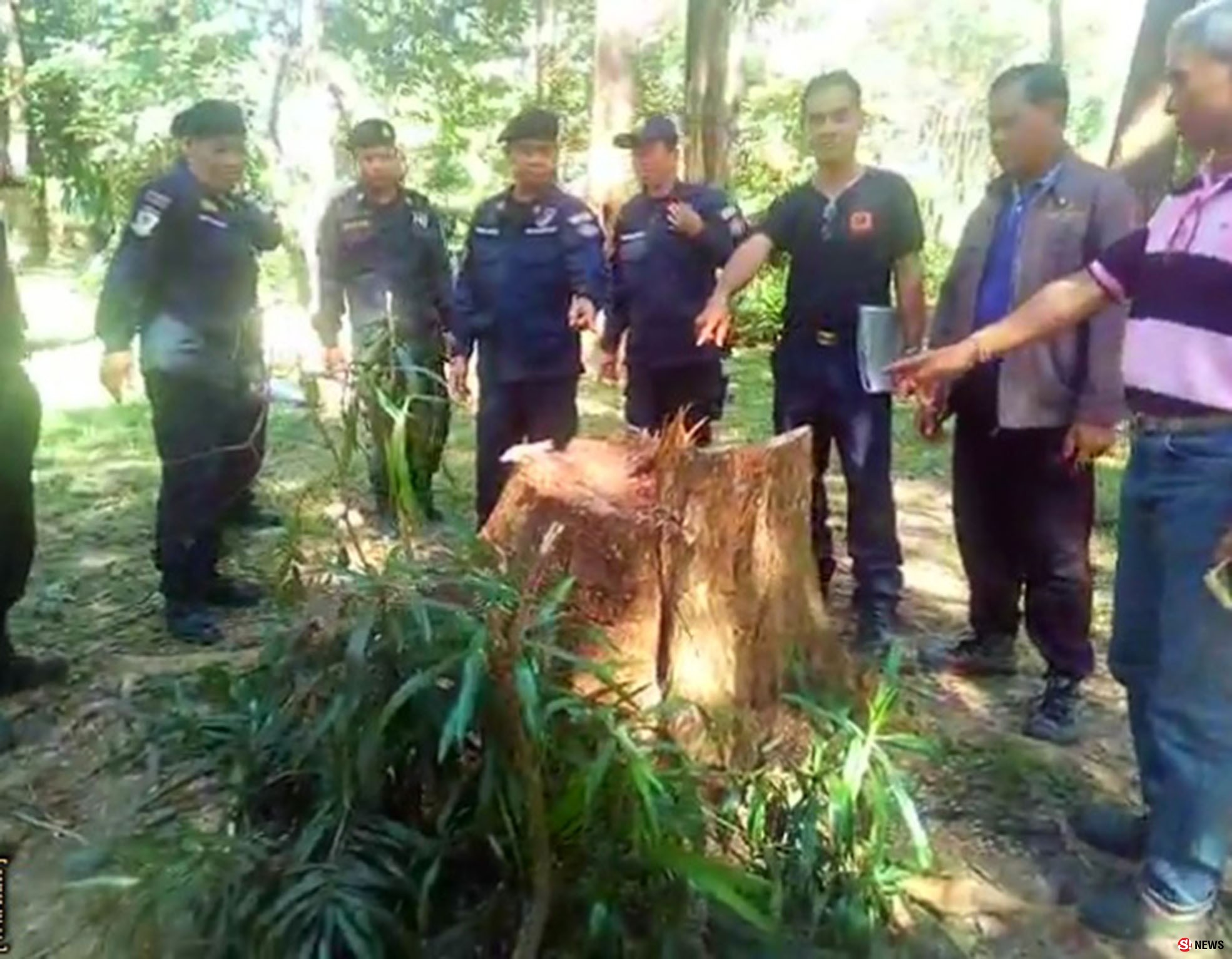 บุกจับ 3 คนร้ายอาวุธครบมือ-ลอบตัดไม้พะยูงกลางดึกในวัดภูทอก 