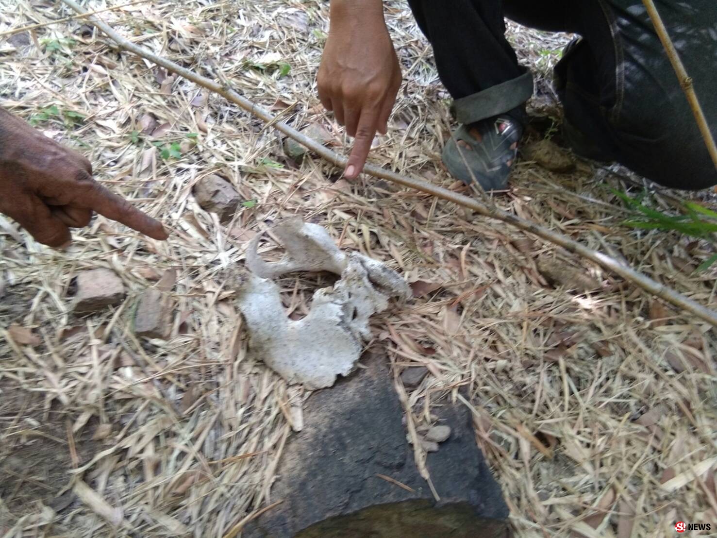 สุพรรณบุรี ชาวบ้านช็อกหาหน่อไม้เจอโครงกระดูกมนุษย์บนเขาใหญ่