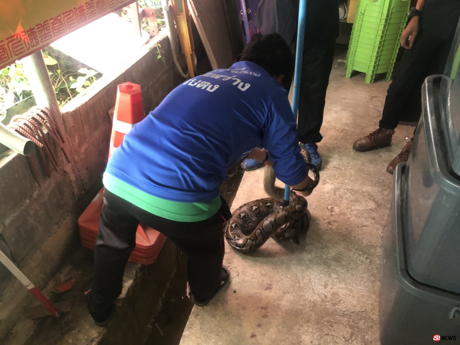 สะดุ้งโหยง-ชาวบ้านพบงูเหลือมนอนขดในลังไม้หลังบ้าน พบท้องป่องหลังเขมือบไก่อีกตัว