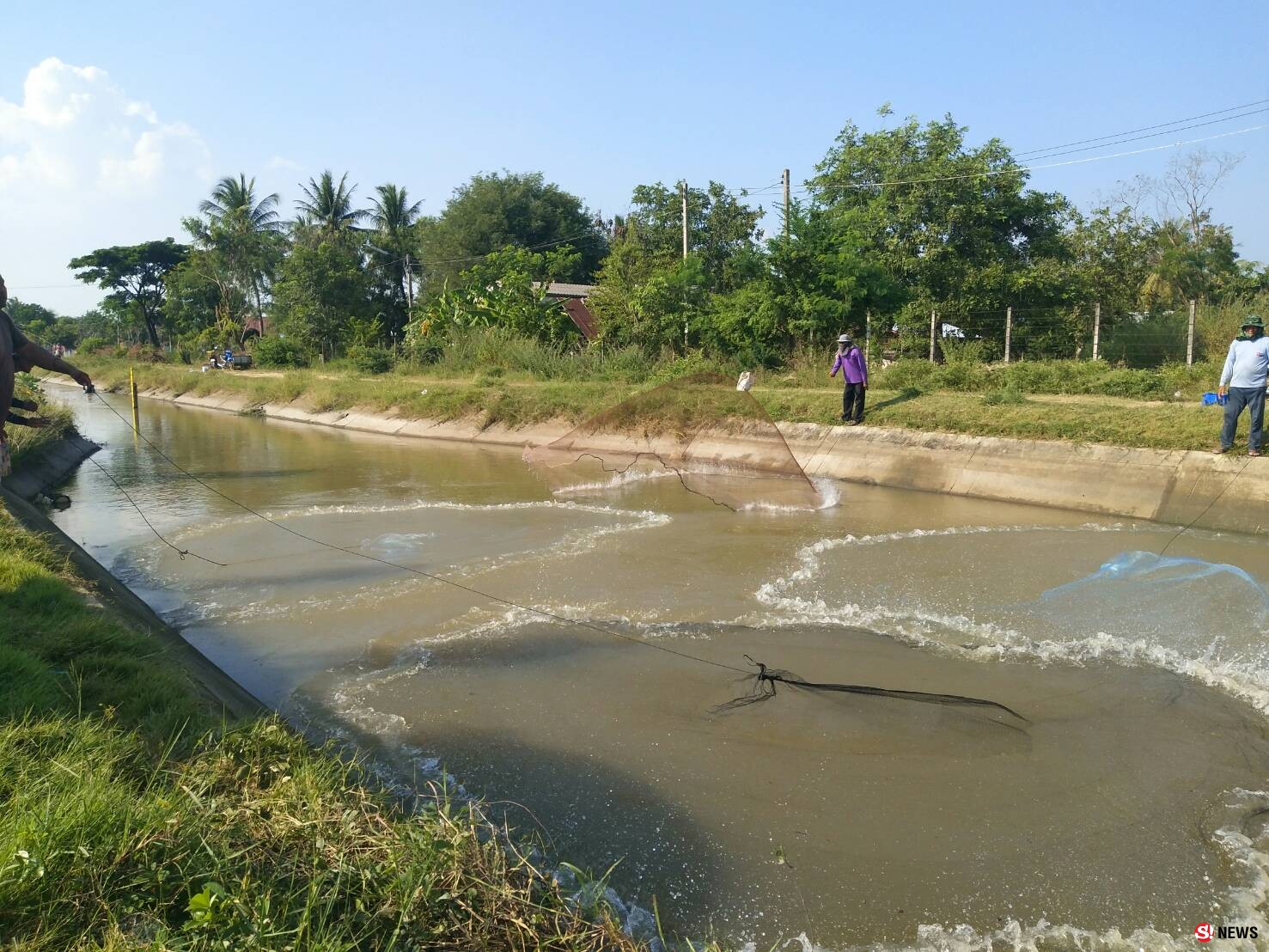 โคราช-ชาวพิมายเฮ ปลาขึ้นมาเล่นน้ำจำนวนมาก หลังชลประทานเปิดประตูระบายน้ำในเขื่อน พากันแห่จับปลากันอย่างคึกคัก