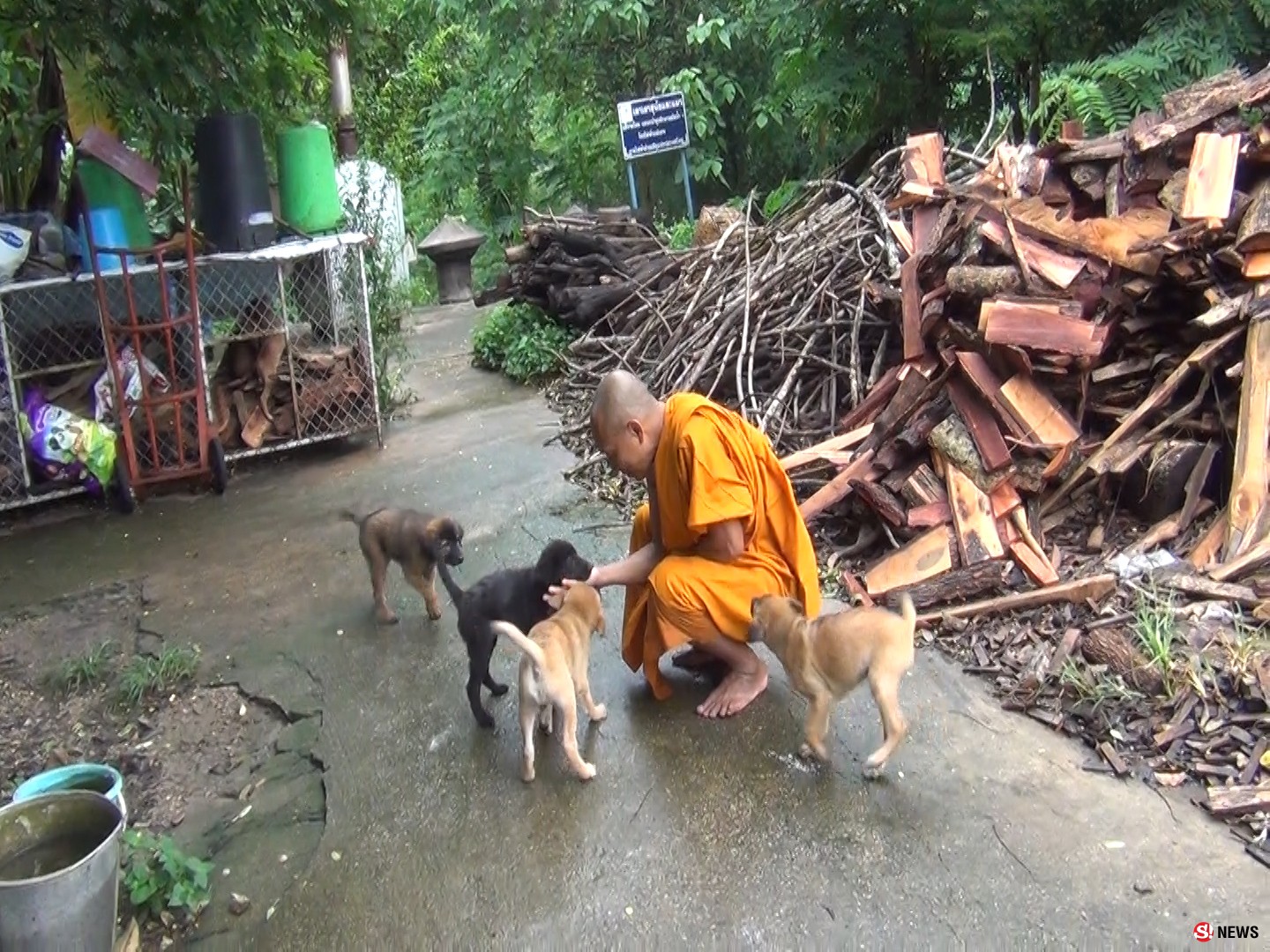 พระเลี้ยงหมาหนุนพรบสัตว์เชื่อคนจะไม่ทิ้งหมา