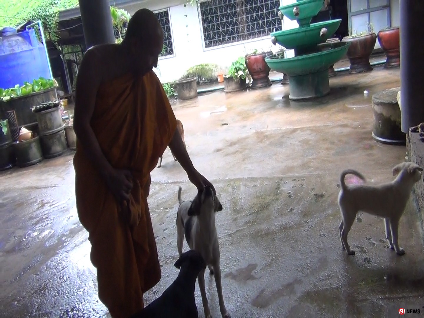 พระเลี้ยงหมาหนุนพรบสัตว์เชื่อคนจะไม่ทิ้งหมา