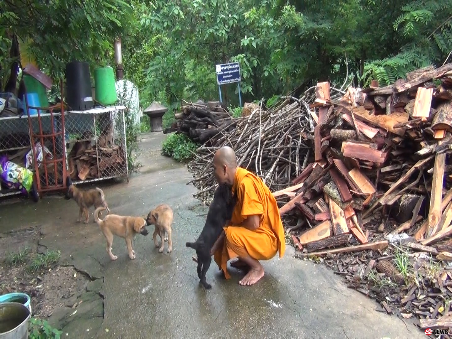 พระเลี้ยงหมาหนุนพรบสัตว์เชื่อคนจะไม่ทิ้งหมา