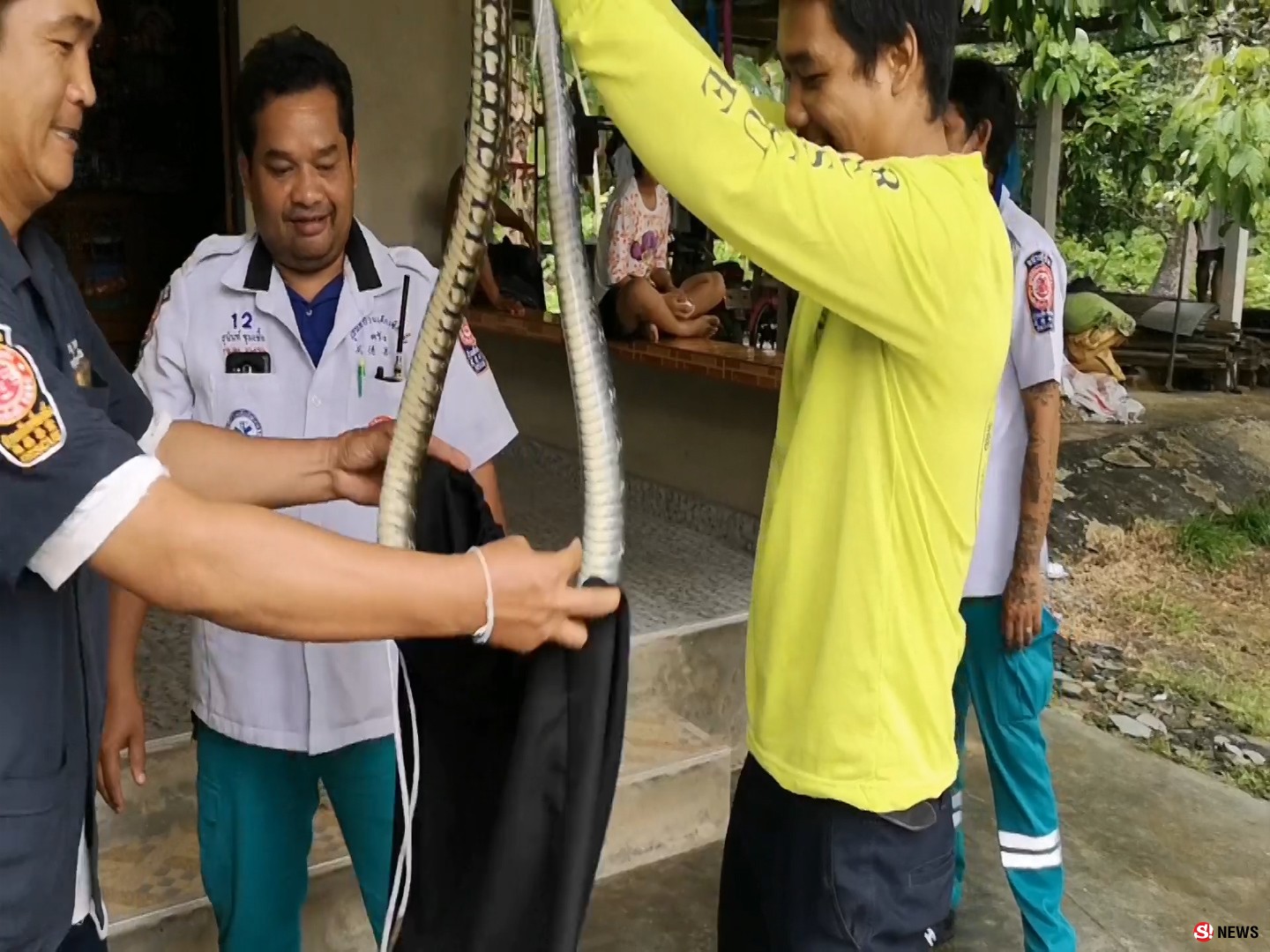 ล้อมวงจับ “งูสิงดง” พันธุ์ดุแยกเขี้ยวจ้องฉกกู้ภัยก่อนนำปล่อยป่า