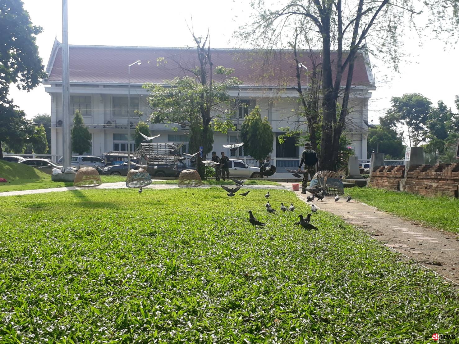 ลุยจับ “นกพิราบ” ร่วมหมื่นตัว-อึเรี่ยราดป้องกันโรคจากนกสู่คน