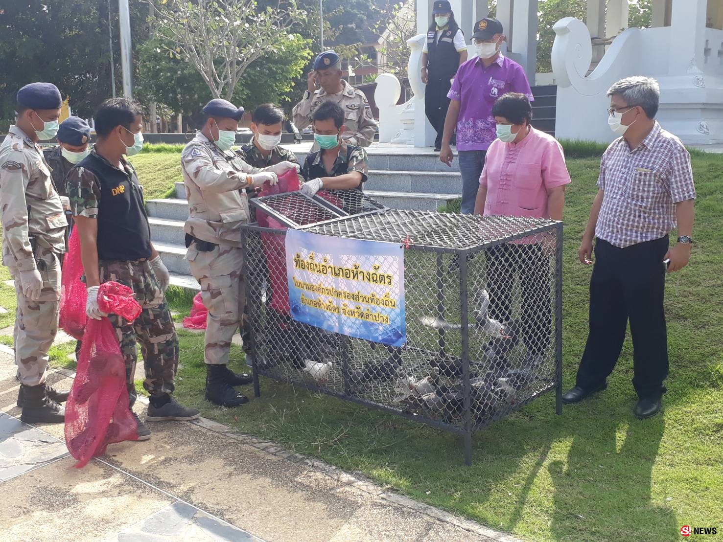 ลุยจับ “นกพิราบ” ร่วมหมื่นตัว-อึเรี่ยราดป้องกันโรคจากนกสู่คน