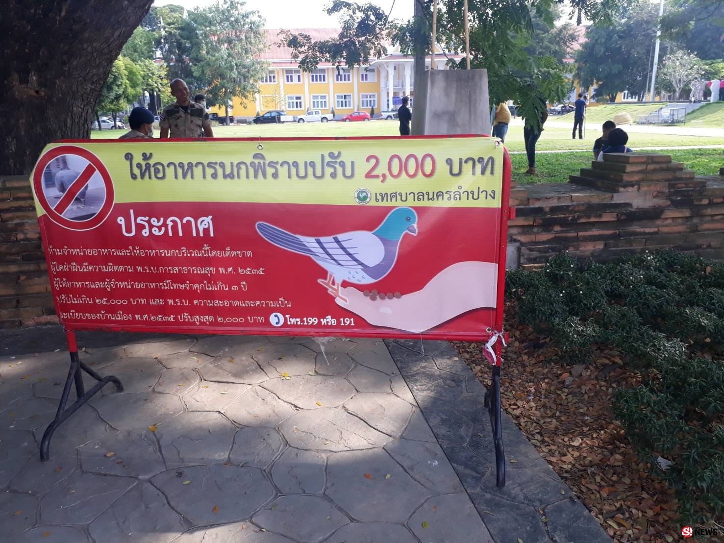 ลุยจับ “นกพิราบ” ร่วมหมื่นตัว-อึเรี่ยราดป้องกันโรคจากนกสู่คน