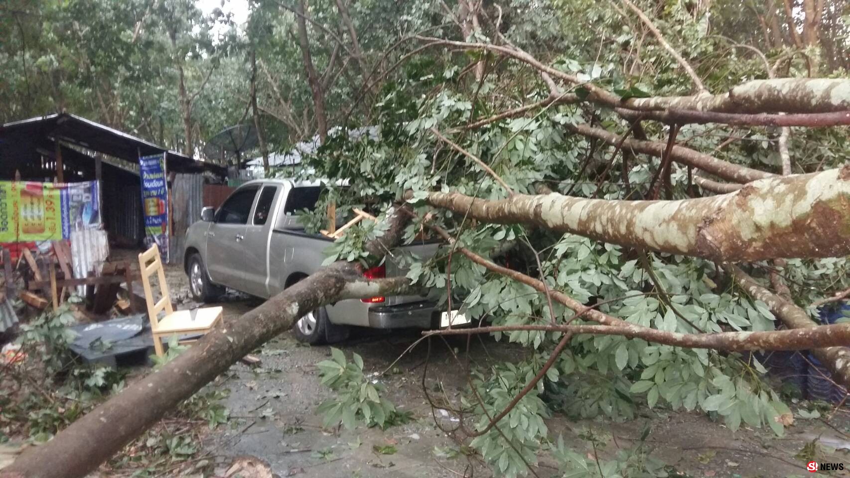 ระยองยังอ่วม-พายุถล่มต้นไม้ล้มทับรถ-บ้านเรือนพังยับนับสิบครัวเรือน 