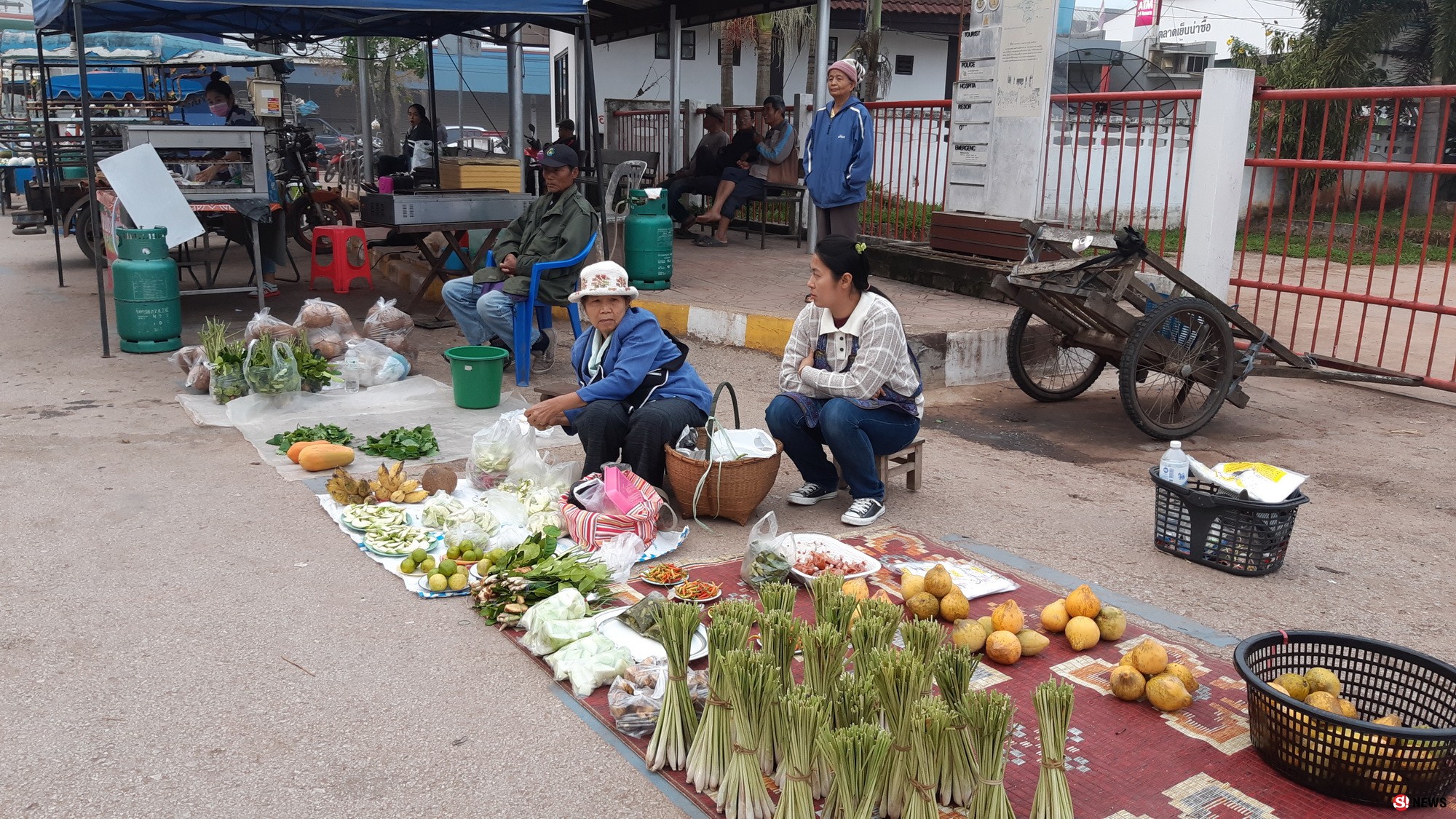 301061 เลย อ.ด่านซ้าย ต้นหนาวมาเยือนหมอกปกคลุมหนาทุกพื้นที่ยอดภูเรือ 14 องศา