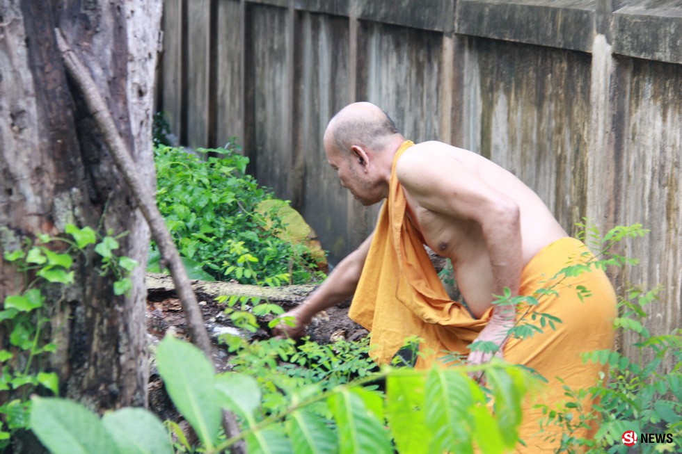 ลมกระโชกแรง-ซัดต้นไม้ใหญ่ล้มทับ “เมรุวัดหลวง” เสียหาย