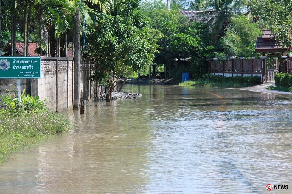 พัทลุง_191161_น้ำท่วมชาวบ้านล่องเรือเกี่ยวข้าว เกษตรกรน้ำรวงข้าวเน่าเสีย