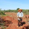 โคราช-ชาวบ้านหนองบุญมาก สุดซ้ำถูกกลุ่มคนร้ายบุกขโมยถอนมันสำปะหลังหายหลายตัน