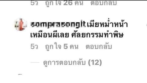 ข้อความวิจารณ์ มด 