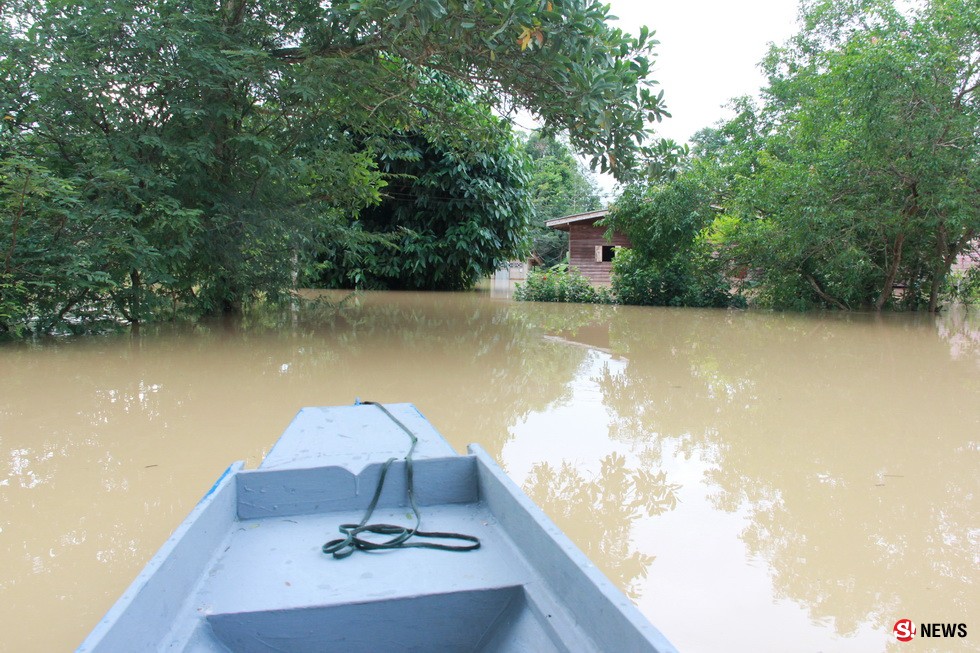 พัทลุง_201261_เช้าวันนี้พื้นที่อำเภอเมืองอ่วมน้ำท่วมหลายตำบลบางแห่งระดับน้ำสูงเกือบ2เมตร