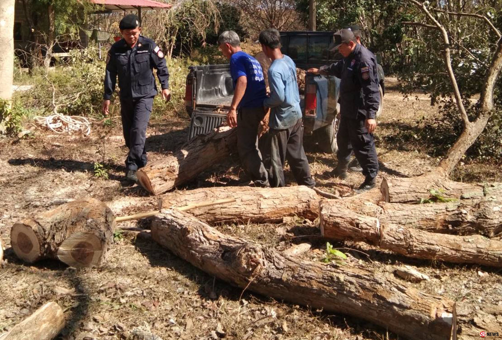 บึงกาฬ ลอบตัดไม้พะยูงข้างทาง นรข.ตรวจยึดเตรียมลงเรือส่งขายข้ามประเทศ