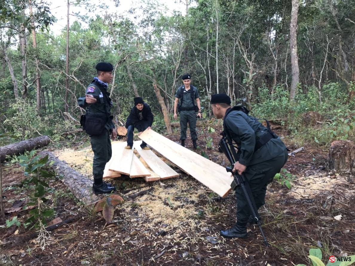 ตชด.สนธิกำลังรวบแก๊งลอบตัดไม้-แถมยึดอาวุธปืนพร้อม “ยาบ้า” ได้อีกเพียบ