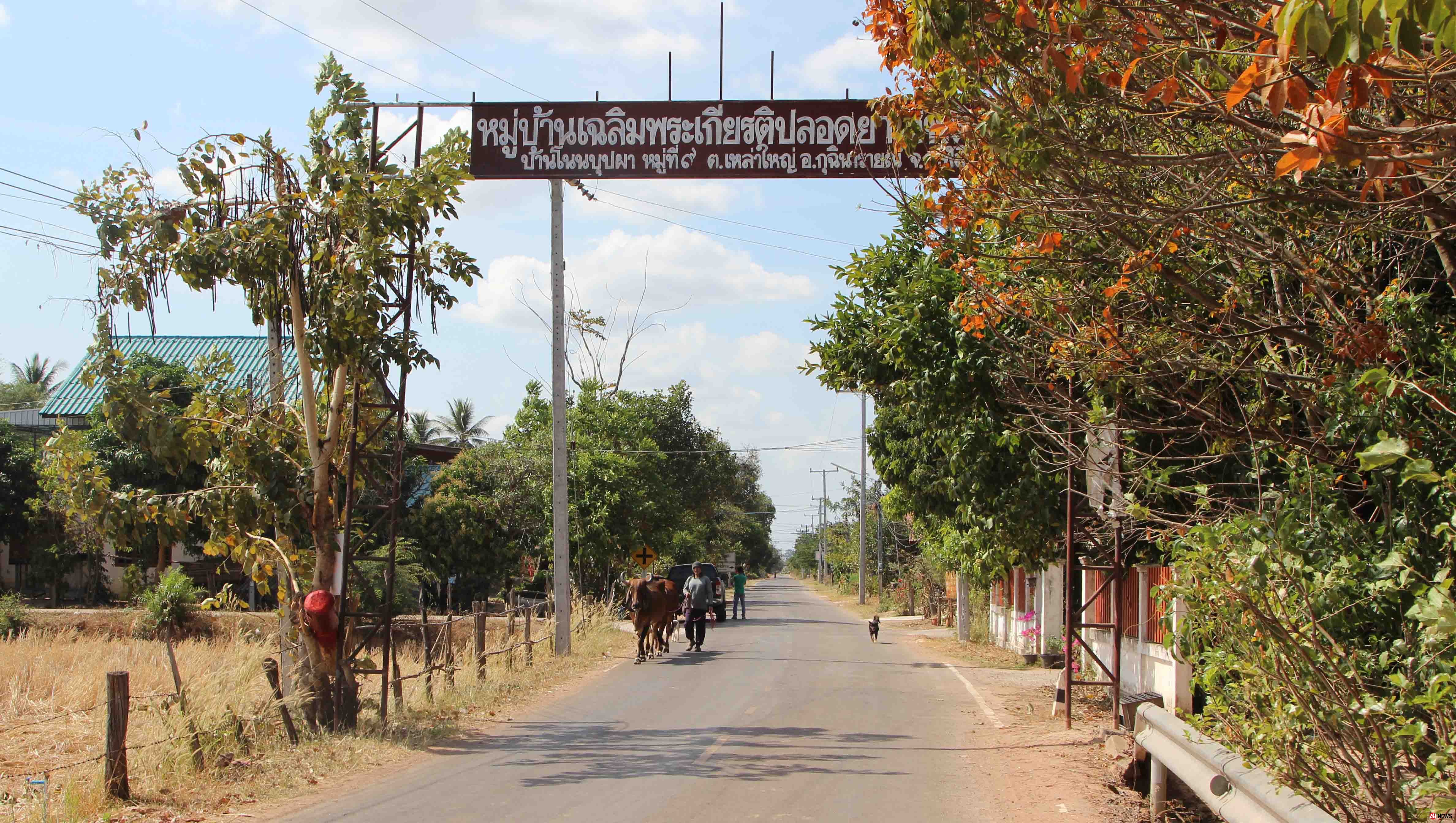 หลอนจัดปลัดขิก! “ผีแม่หม้าย” คร่าชีวิตชายหนุ่มดับรวด 3 ศพ-ชาวบ้านนำผ้าแดงแขวนตามความเชื่อ 