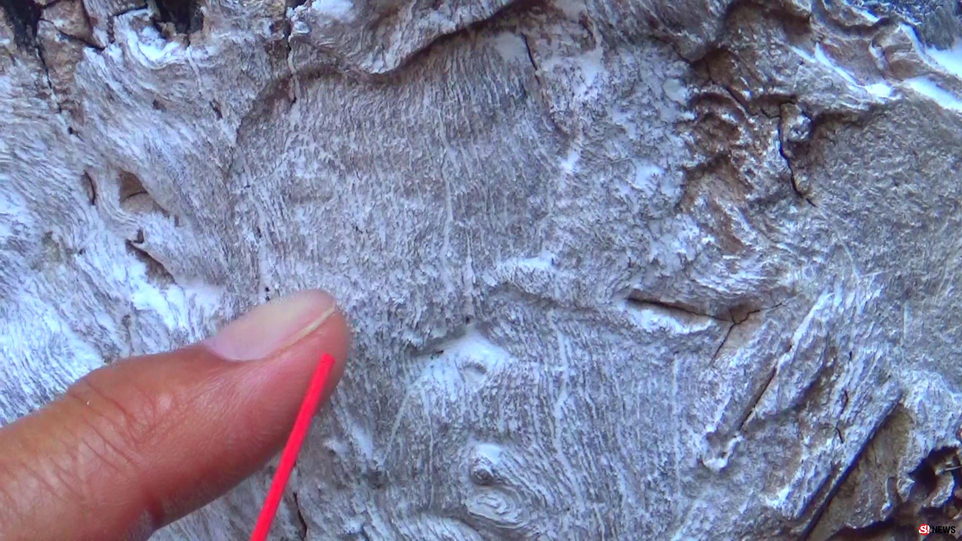 ฮือฮาใกล้หวยออก! ชาวบ้านแห่ขอเลขเด็ด 