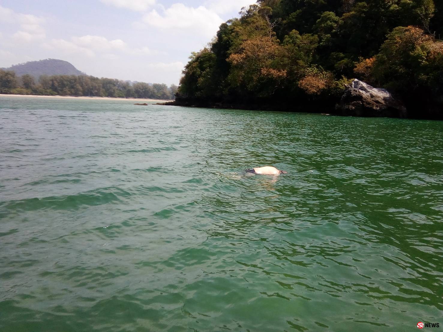 ชาวเรือกู้ศพหนุ่มใหญ่โปแลนด์-ลอยอืดกลางทะเลอุทยานฯ หาดนพรัตน์ธารา-หมู่เกาะพีพี