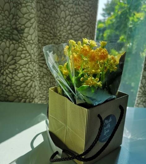 ภาพและข้อความที่ไอซ์โพสต์